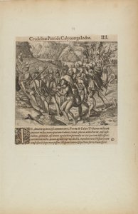 Crudelitas Petride Calyce Erga Indos. III. (aus dem Buch, Americae, Teil vier)