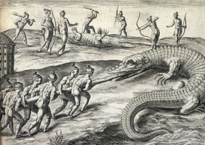 Nackte Ureinwohner Amerikas jagen Alligatoren in Florida, USA