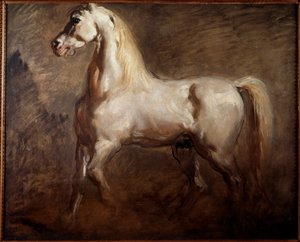 Studie eines weißen Pferdes im linken Profil. Gemälde von Théodore Chassériau