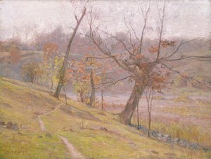 Die Blüte der Traube