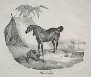 Arabisches Pferd von Theodore Gericault