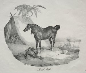 Arabisches Pferd von Theodore Gericault