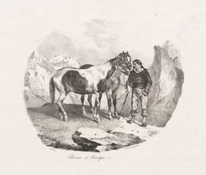 Auvergne-Pferde von Theodore Gericault