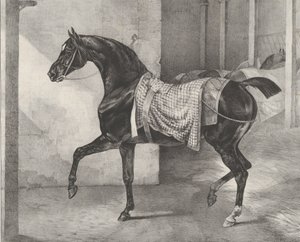 Schwarzes Pferd im Stall angebunden, 1822 von Theodore Gericault
