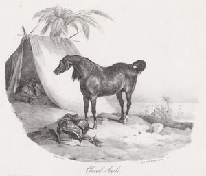Arabisches Pferd von Theodore Gericault