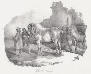 Cheval Cauchois (Einheimisches Pferd aus Caux, Normandie) von Theodore Gericault