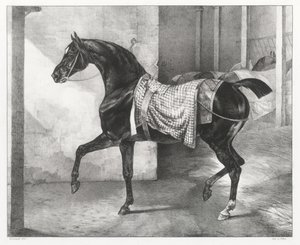 Schwarzes Pferd in einem Stall angebunden von Theodore Gericault