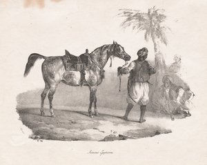Ägyptische Stute, 1822
