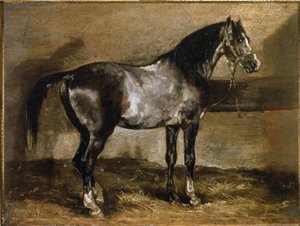 Graues Pferd am Ratelier