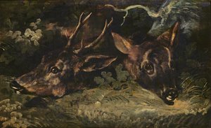 Köpfe von Rehen, 1815