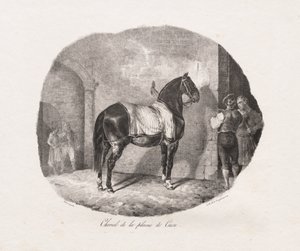 Pferd von der Caen-Ebene