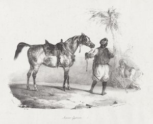 Ägyptische Stute von Theodore Gericault