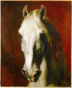 Kopf eines Schimmels von Theodore Gericault
