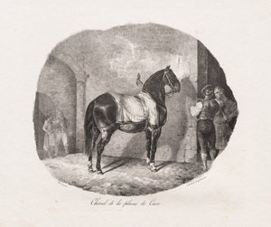 Lithographierte Studien von Pferden: Pl. 7, Pferd von der Ebene von Caen