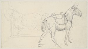 Skizze eines Pferdes von Theodore Gericault