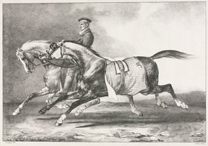 Zwei gescheckte Pferde beim Üben von Theodore Gericault