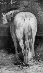Ungewiss, das Pferd im Stall
