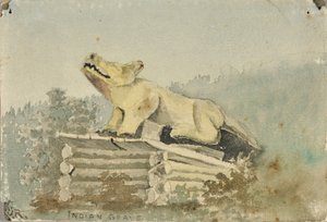 Indianergrab. Wolfstotem über dem Grab des Medizinmannes, Wrangell, ca. 1880-1914