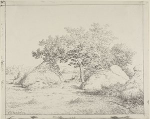 Kirschbaum bei Plante à Biau