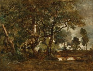 Wald von Fontainebleau, Gruppe hoher Bäume mit Blick auf die Ebene von Clair-Bois am Rand von Bas-Bréau