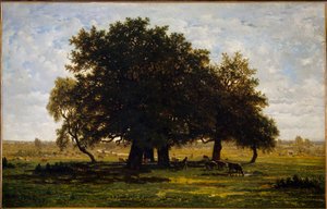 Gruppe von Eichen, Apremont. von Pierre Etienne Theodore Rousseau