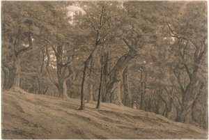 Im Wald von Fontainebleau