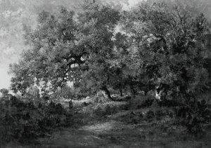 Landschaft, um 1860 von Theodore Rousseau