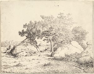 Der Kirschbaum von La Plante à Biau