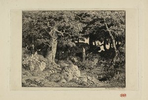 Felsen-Eichen