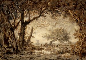 Sonnenuntergang im Wald von Fontainebleau