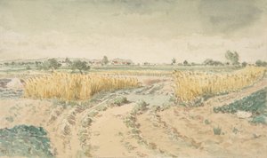 Weizenfelder von Theodore Rousseau