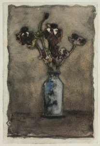 Anemonen