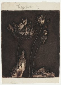 Letzte Mohnblumen von Theodore Roussel