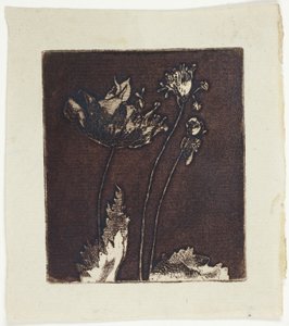 Letzte Mohnblumen von Theodore Roussel