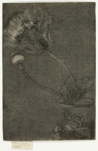 Mohn in einer Vase