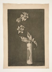 Proof for La Chine (Schwarz-Weiß-Version)