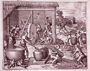 Geschichte Amerikas: Zuckerrohrernte und Zuckerproduktion durch indianische Sklaven, die für die spanischen Konquistadoren arbeiten (Gravur)