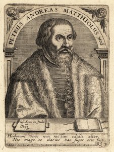 Pietro Andrea Gregorio Mattioli, italienischer Arzt von Theodore de Bry