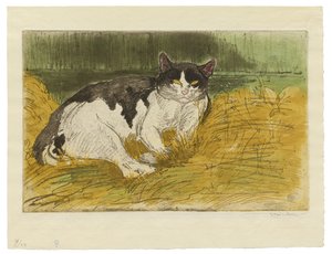 Alter Schwarz-Weiß-Kater im Gras von Théophile Alexandre Steinlen