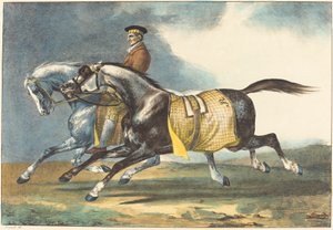 Zwei Apfelschimmel beim Üben (Deux chevaux gris pommelé que l