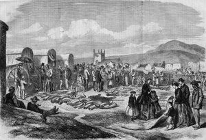Elfenbein- und Fellmarkt in Grahamstown, Albanien, Kapkolonie von Thomas (after) Baines