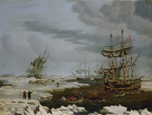 Hull-Walfänger in der Arktis von Thomas A. Binks