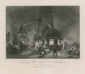 Falcon Glass House von Thomas Allom