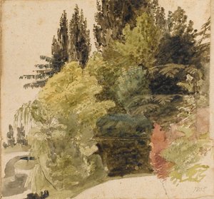 Studie von Bäumen im Gelände von Merton Place von Thomas Baxter