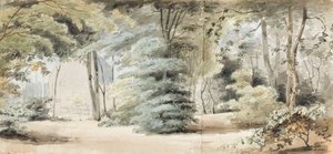 Teil des Geländes in Merton mit einer Laube und Bäumen (recto) von Thomas Baxter