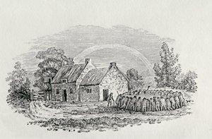 Hahnenkampf vor einem Gasthaus, ca. 1801, aus 