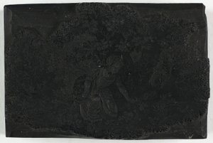 Holzschnitt für Frau, die Blumen pflückt von Thomas Bewick
