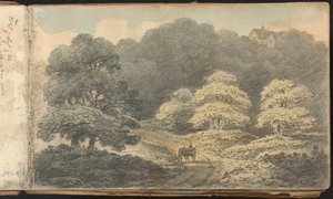 Album mit Landschafts- und Figurenstudien: Landschaftsszene mit Pferd und Wagen in der Nähe von Tunbridge Wells