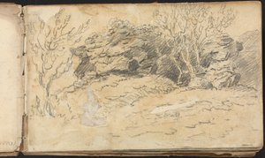 Album mit Landschafts- und Figurenstudien: Skizze von Bäumen und Felsen