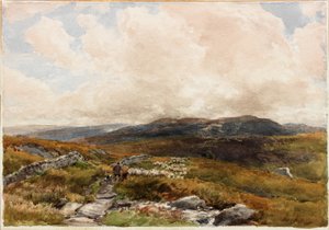 Moorlandschaft